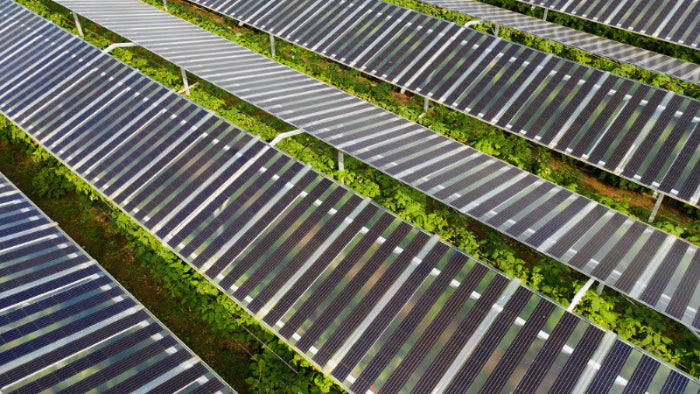 290W_B.72_Solar_Panel_SOLID_AGRO_B.72_Photovoltaik-Modul_f_r_Ertrag_Schutz_Mikroklima_EU