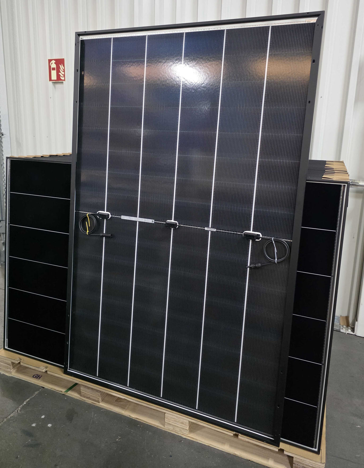 AIKO Neostar 2P+ 485W Solarmodul Rückseite mit Anschlusskabeln