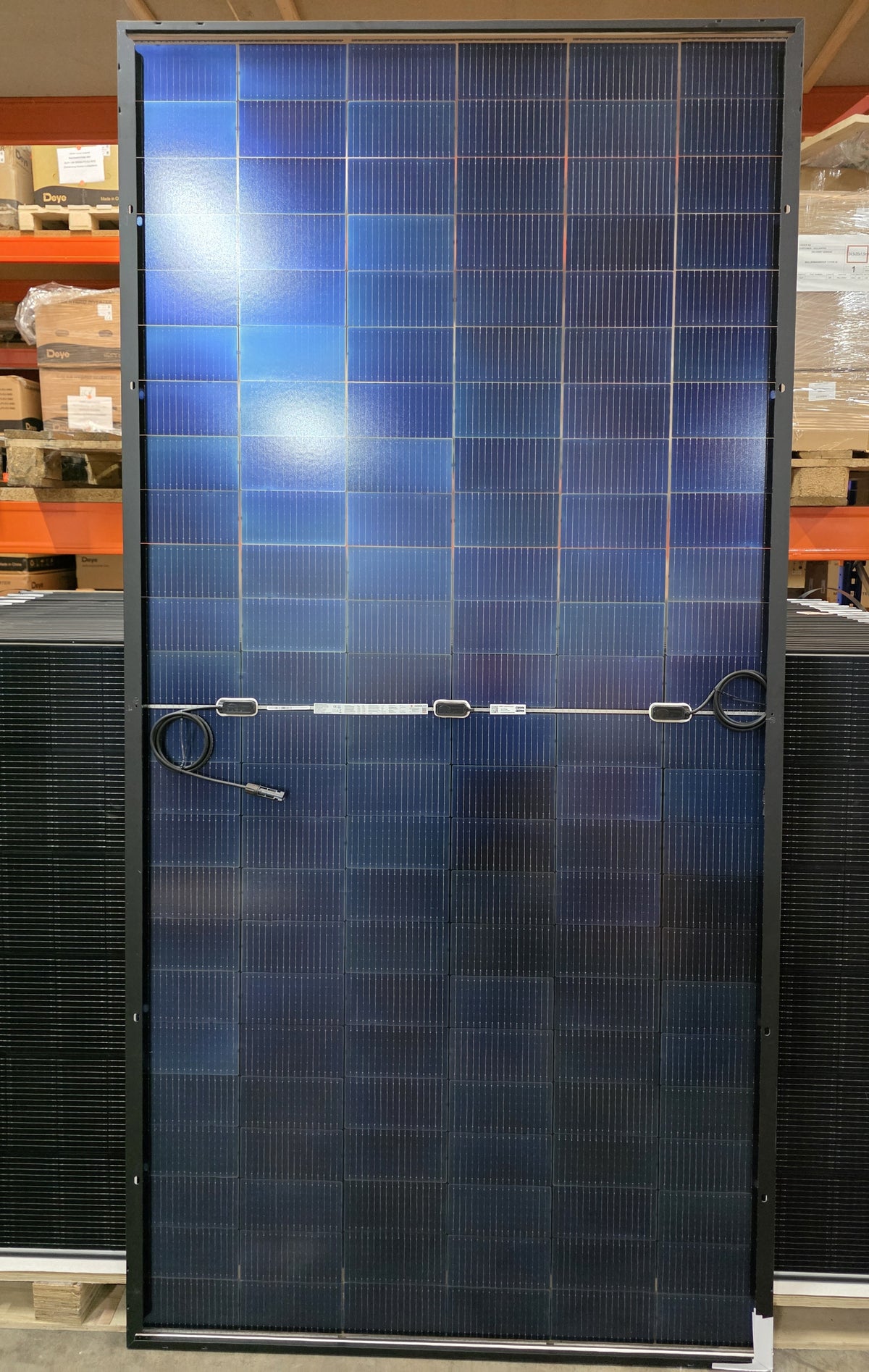 590W AESOLAR HORIZON CMD-144BDS Bifazial  DIBt-zertifiziert PV Module mit Überkopfzulassung