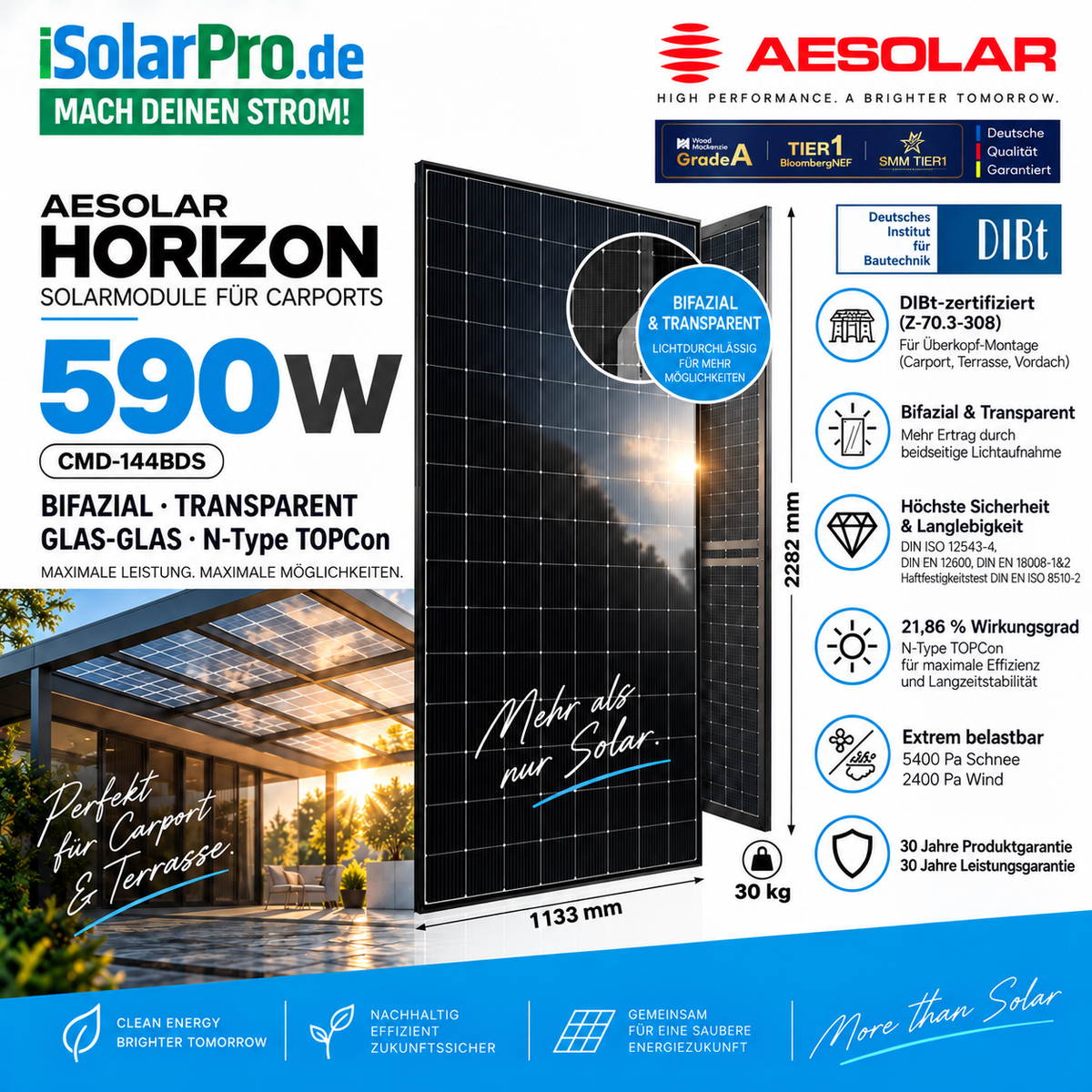 590W AESOLAR HORIZON Solarmodul | DIBt-zertifiziert | Bifazial Glas-Glas | N-Type TOPCon | für Carport, Terrasse & Überdachung 2278 × 1133 × 30mm